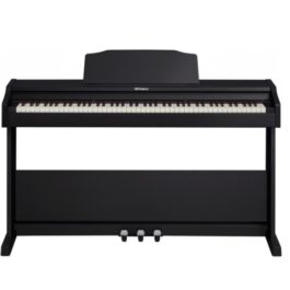 Roland RP-102 Digital Piano (Bench included)